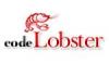 Code Lobster бесплатная среда разработки php приложений (IDE)