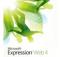 Microsoft Expression Web 4 программа для создания сайтов
