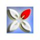 LightBox Image Editor
