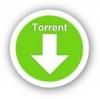 Что такое торрент (BitTorrent)?